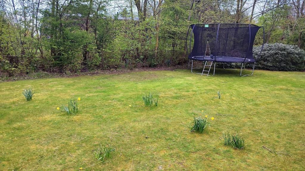 Vakantiehuis Hollum Ameland Dichtbij Strand En Met Ruime Tuin - Ameland39 Nl Buitenkant foto